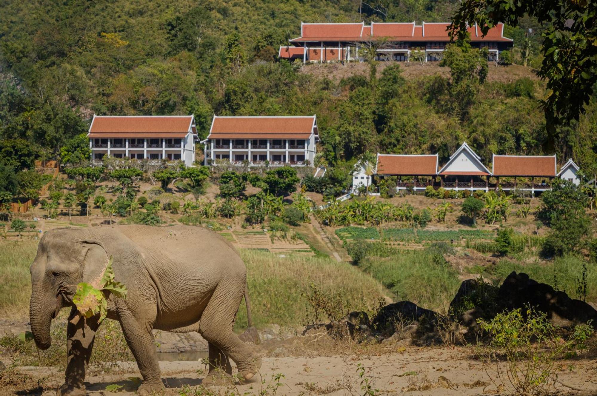 The Sanctuary Pakbeng Lodge Luaran gambar