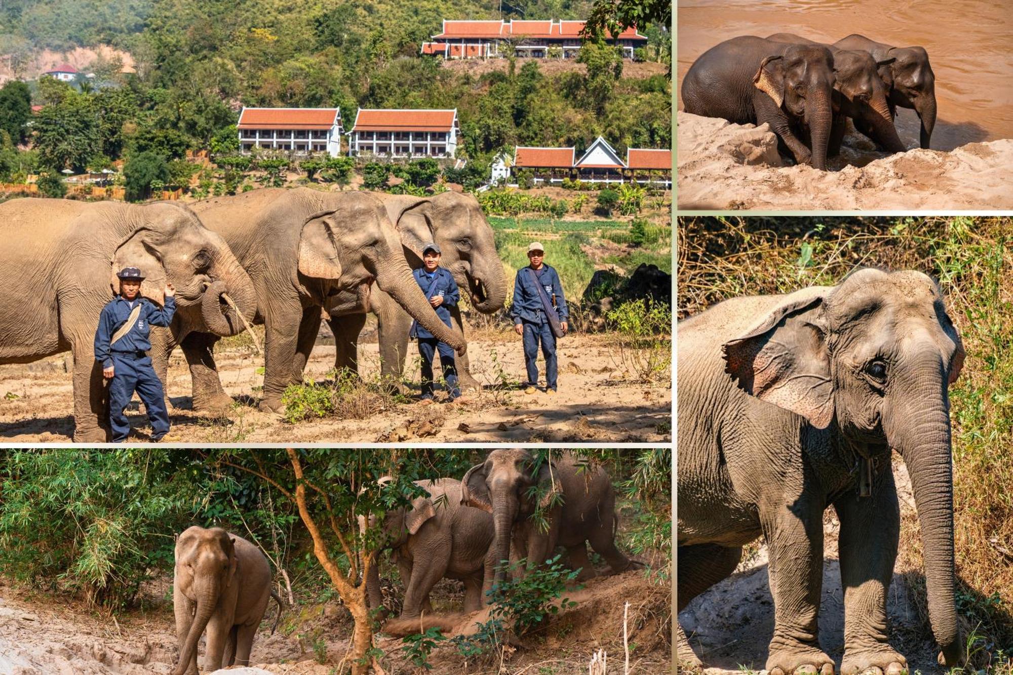 The Sanctuary Pakbeng Lodge Luaran gambar